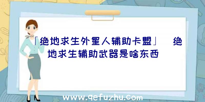 「绝地求生外星人辅助卡盟」|绝地求生辅助武器是啥东西